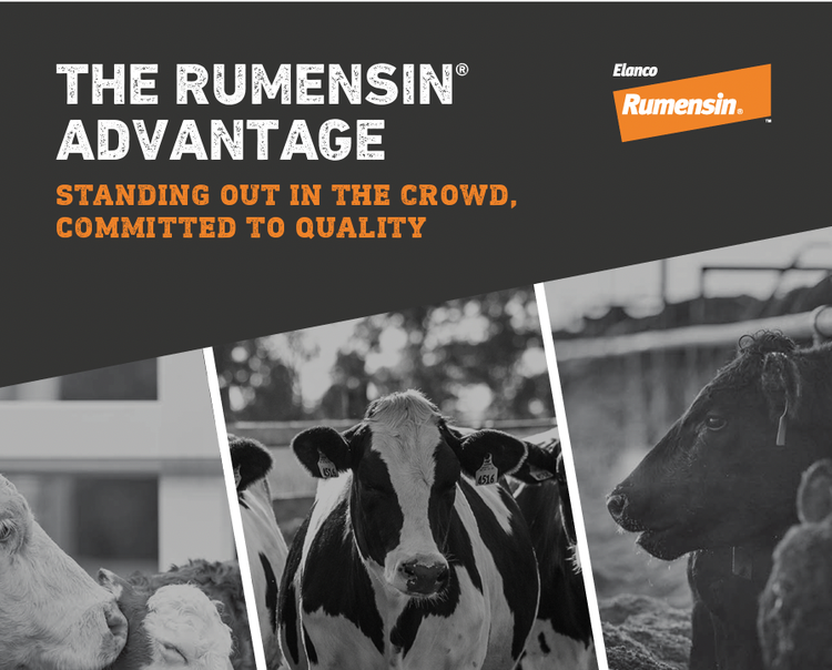 Rumensin Feedyard